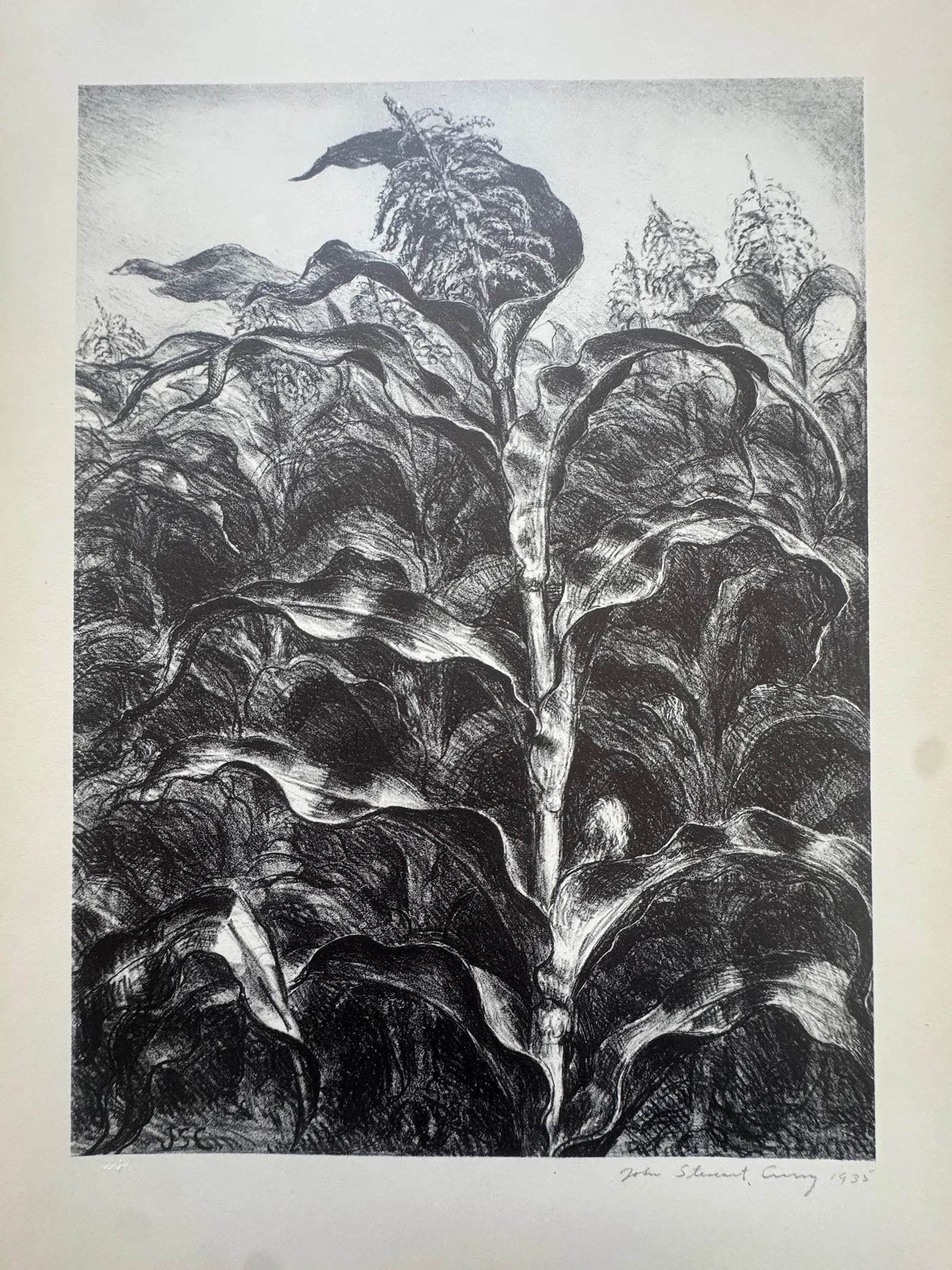 John Steuart Curry (American, 1897-1946) Print: John Steuart Curry (American, 1897-1946). Corn, "1935" Print. 12.60 x 9.50 inches. Signed in the plate. Printed in 1939. Not hand-signed unless otherwise stated. Photomechanical Print. Lots that conta