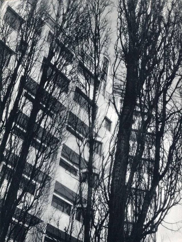 Dora Maar (French, 1907- 1997) Print (1 of 1)