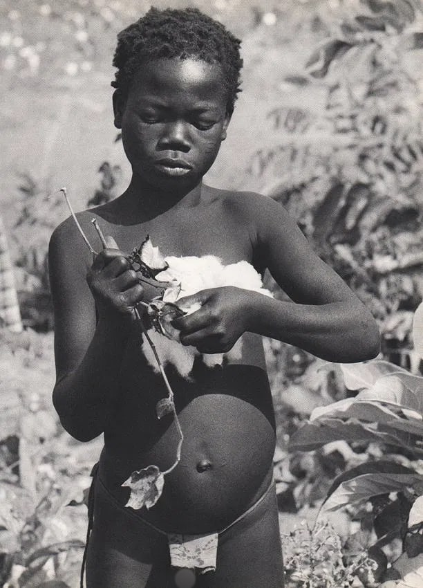 Emil Schulthess (Swiss, 1913-1996) Print: Emil Schulthess (Swiss, 1913-1996) Print. Cleaning Cotton-Afrika. Printed in 1958. 9.5 x 12" inches Not hand-signed unless otherwise stated. Photomechanical Print. Lots that contain nudity have been