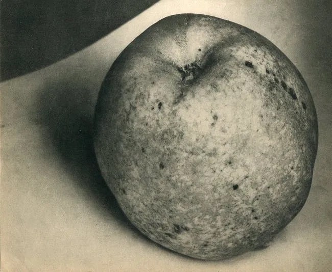 Edward Steichen (Luxembourgish-American, 1879-1973) Print (1 of 1)