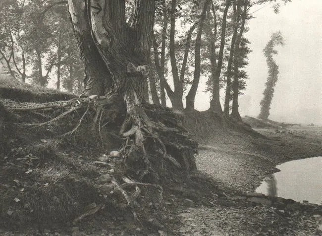 Josef Sudek (Czech, 1896-1976) Print: Josef Sudek (Czech, 1896-1976) Print. Troja Island. Printed in 1976. 9 x 7" inches Not hand-signed unless otherwise stated. Photomechanical Print. Lots that contain nudity have been partially