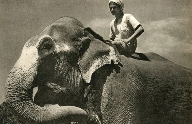 Lionel Wendt (Sri Lanka, 1900-1944) Print: Lionel Wendt (Sri Lanka, 1900-1944) Print. A Leader in Sagacity. Printed in 1950. 7" x 10.5 inches Not hand-signed unless otherwise stated. Photomechanical Print. Lots that contain nudity have been pa