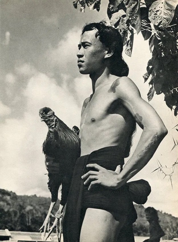 K. F. Wong (Malaysian, 1916-1988) Print: K. F. Wong (Malaysian, 1916-1988) Print. Young Iban Man-Borneo. Printed in 1960. 8 x 11 inches Not hand-signed unless otherwise stated. Photomechanical Print. Lots that contain nudity have been partia