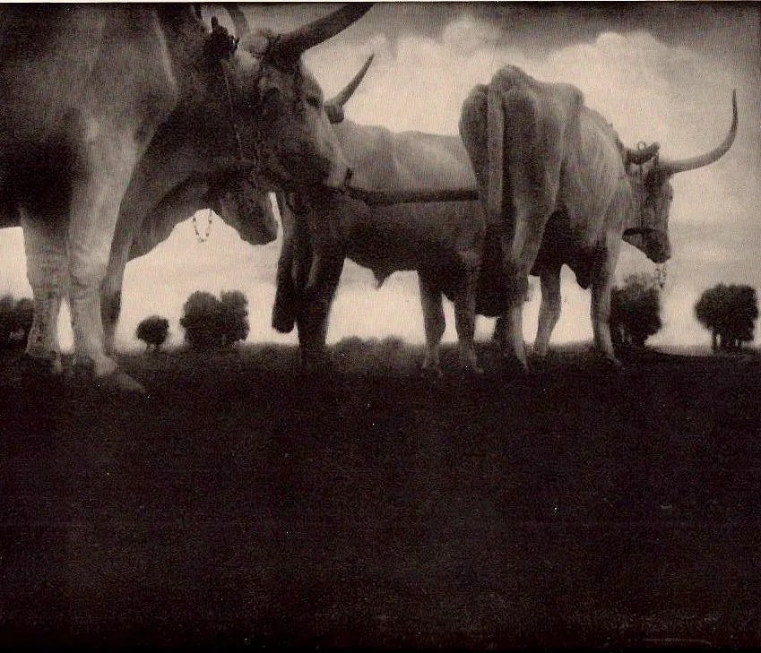 Rudolf Koppitz (Austrian, 1884-1936) Print (1 of 1)