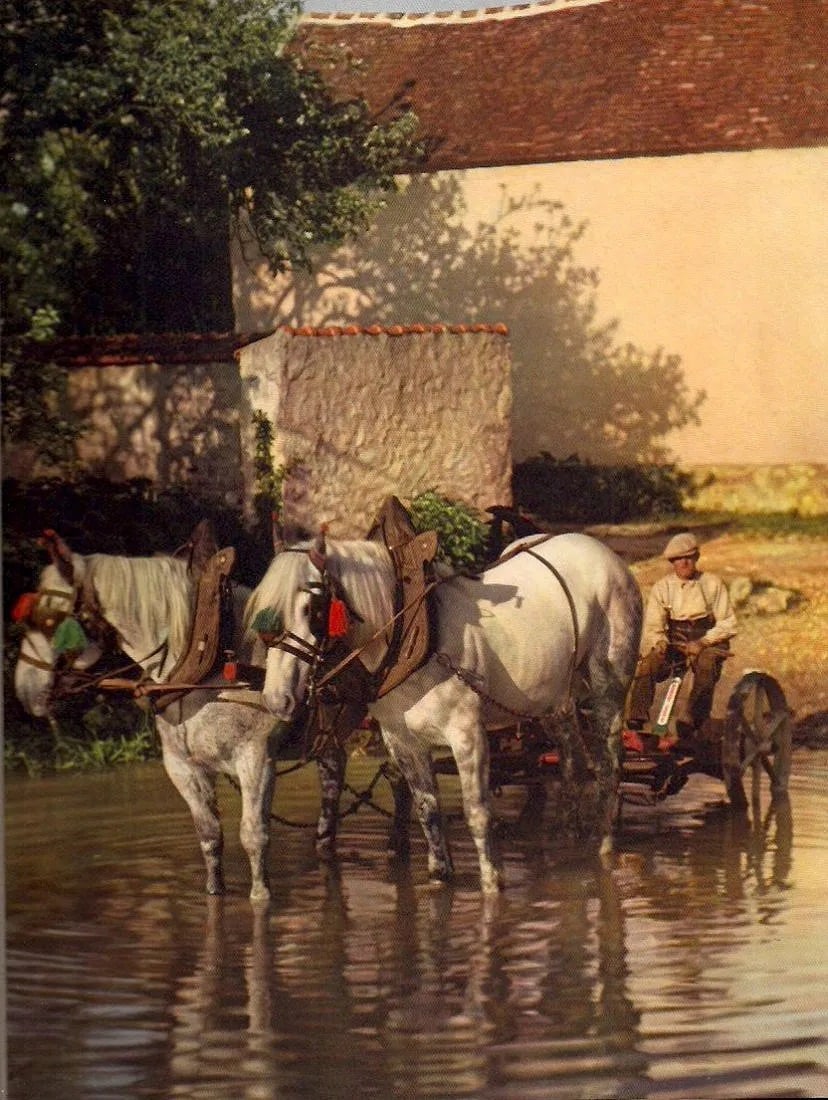 Victor Michel (fils de) Print: Victor Michel (fils de) Print. Paysage aux Chevaux. Printed in 1939. 8.50 x 11.00 inches Not hand-signed unless otherwise stated. Photomechanical Print. Lots that contain nudity have been partially