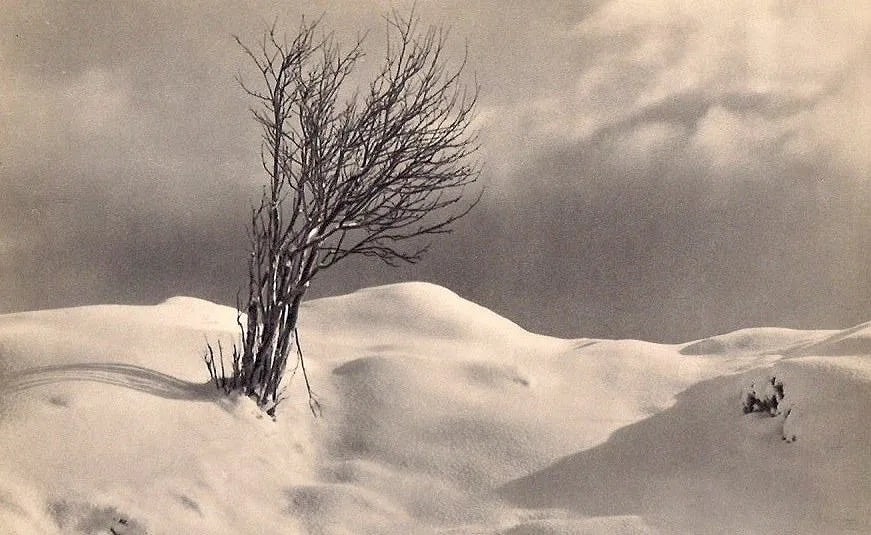 John Myren Print (1 of 1)