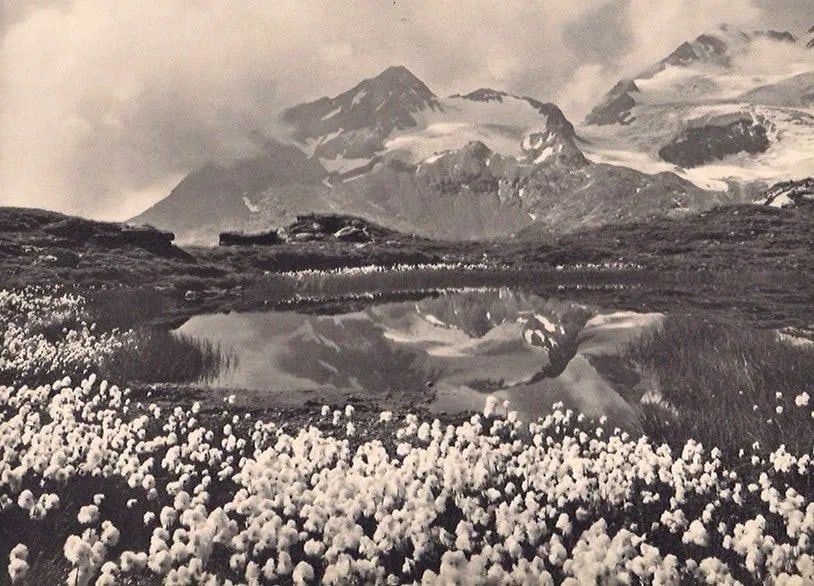Andre Steiner Print: Andre Steiner Print. St Moritz. Printed in 1937. 9.00 x 5.50 inches Not hand-signed unless otherwise stated. Photomechanical Print. Lots that contain nudity have been partially obscured in the
