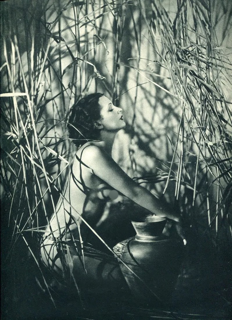Manasse Print (1 of 1)