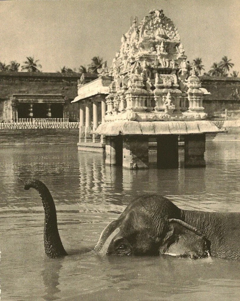 Harry Miller Print: Harry Miller Print. India. Printed in 1961. 8.00 x 10.00 inches Not hand-signed unless otherwise stated. Photomechanical Print. Lots that contain nudity have been partially obscured in the listing;