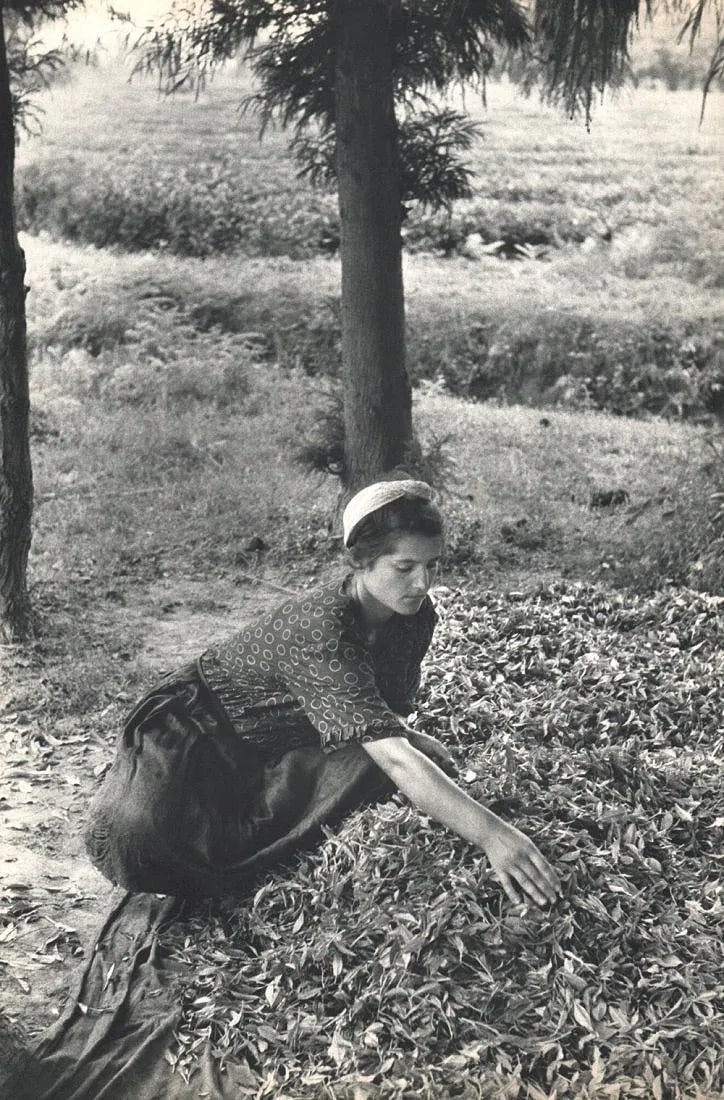 Henri Cartier-Bresson (French, 1908-2004) Print: Henri Cartier-Bresson (French, 1908-2004) Print. Peasant Zugdidi Woman USSR. Printed in 1955. 9.00 x 13.50 inches Not hand-signed unless otherwise stated. Photomechanical Print. Lots that contain nudi