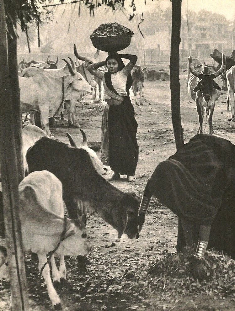 Henri Cartier-Bresson (French, 1908-2004) Print: Henri Cartier-Bresson (French, 1908-2004) Print. India Ahmadabad 1966. Printed in 1972. 6.50 x 10.00 inches Not hand-signed unless otherwise stated. Photomechanical Print. Lots that contain nudity hav