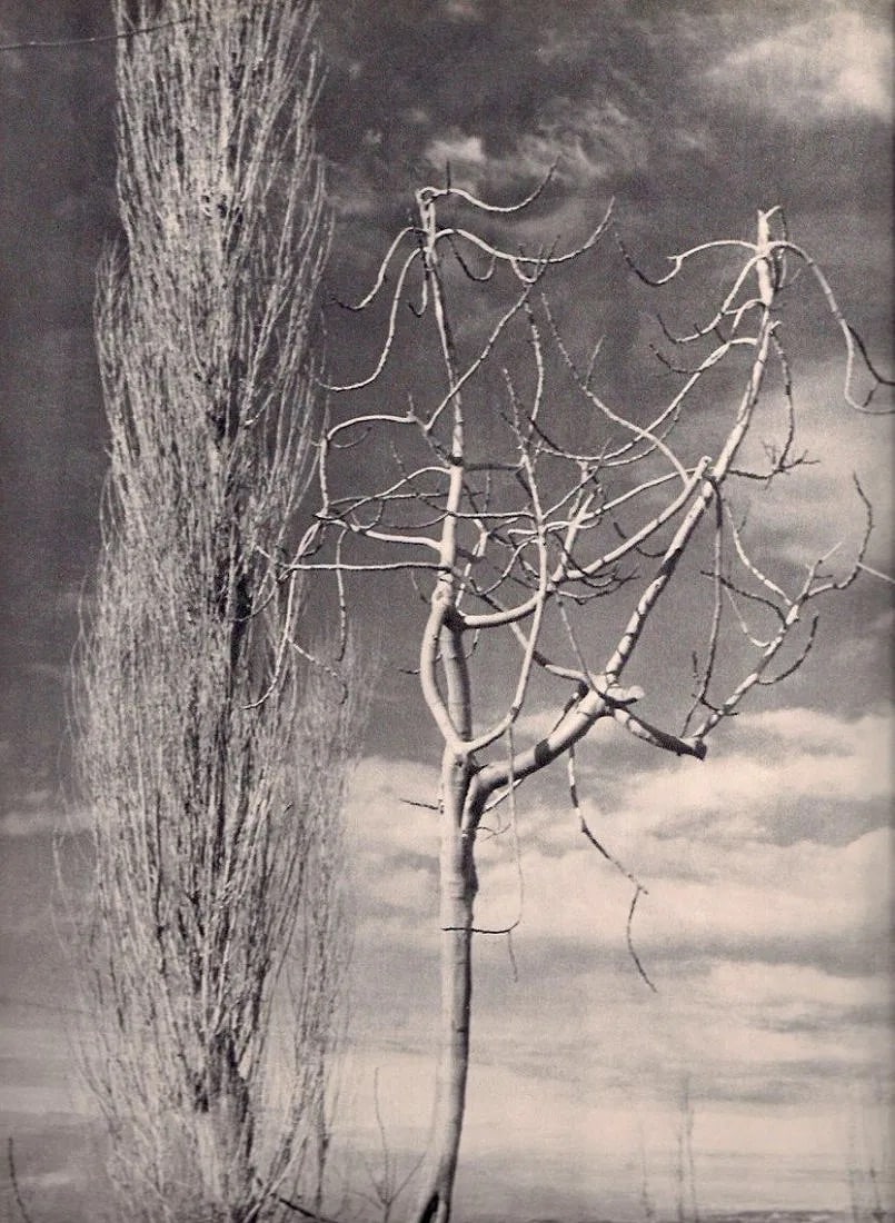 Sibylle de Kaskel (German/French, b. 20th Century) Print: Sibylle de Kaskel (German/French, b. 20th Century) Print. Paysage. Printed in 1937. 9.00 x 11.00 inches Not hand-signed unless otherwise stated. Photomechanical Print. Lots that contain nudity have