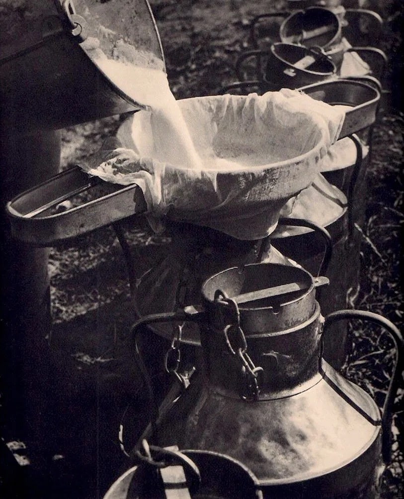 Nora Dumas (Hungarian, 1890-1979) Print (1 of 1)