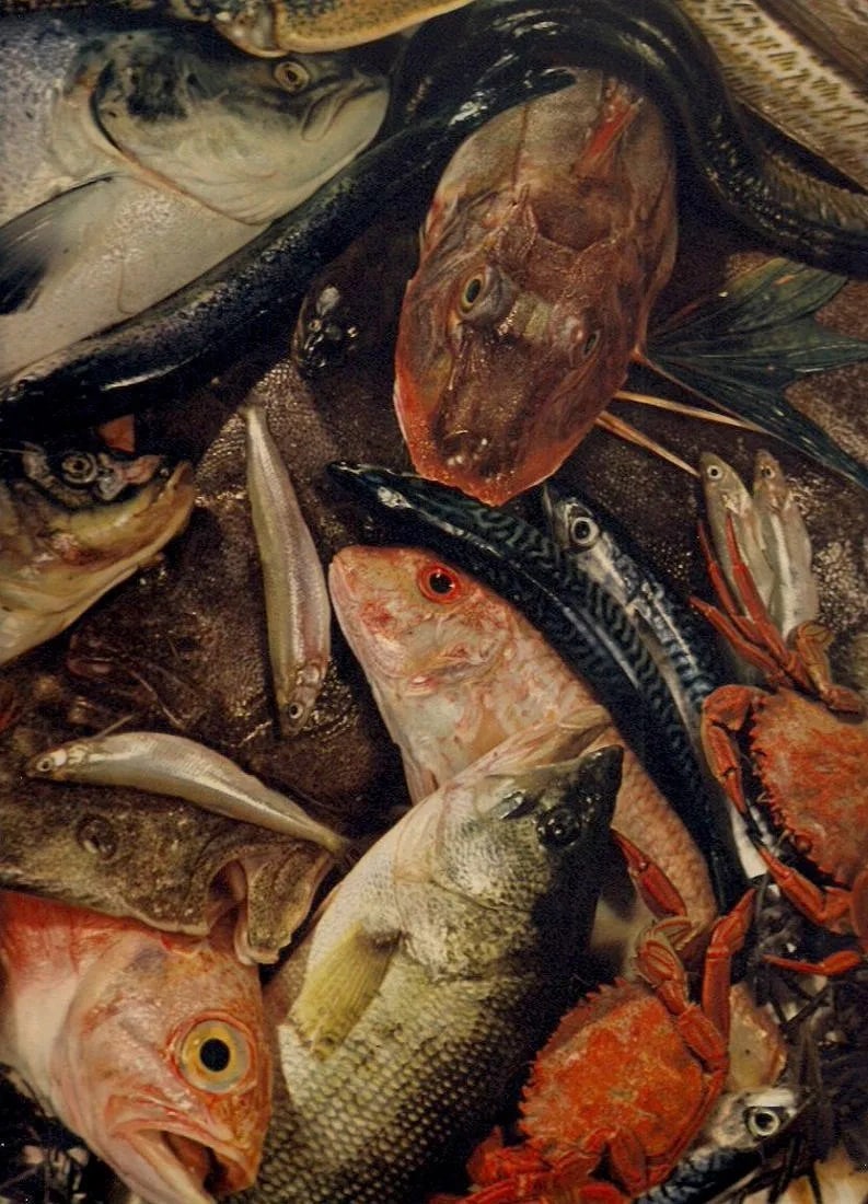 Gorsky Print: Gorsky Print. Nature Mort Aux Poissons. Printed in 1939. 9.00 x 11.00 inches Not hand-signed unless otherwise stated. Photomechanical Print. Lots that contain nudity have been partially obscured in