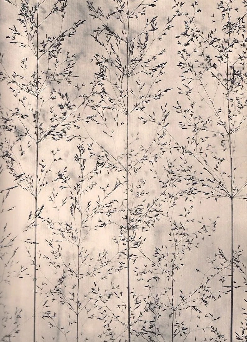 Dieter Keller Print: Dieter Keller Print. Semis de Fleurs. Printed in 1940. 9.00 x 11.00 inches Not hand-signed unless otherwise stated. Photomechanical Print. Lots that contain nudity have been partially obscured in the 