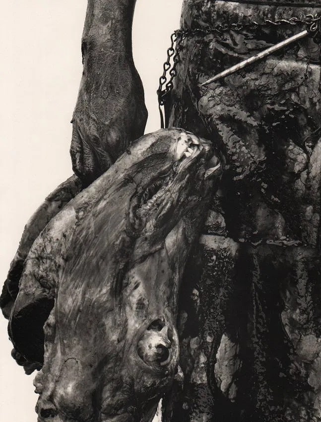 Richard Avedon (American, 1923-2004) Print: Richard Avedon (American, 1923-2004) Print. Slaughterhouse, Nebraska "1979". Printed in 1993. 11.00 x 14.00 inches. Not hand-signed unless otherwise stated. Photomechanical Print. Lots that contain