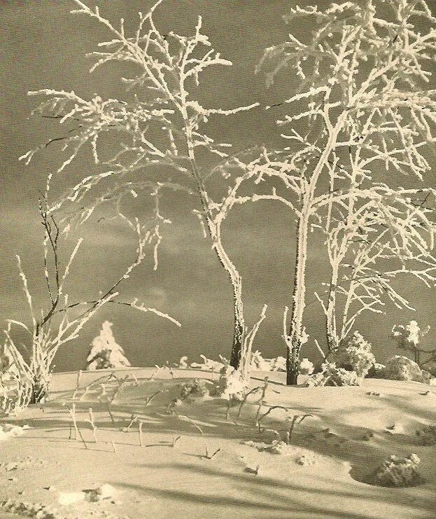 Ernst Banse (German, 1888-1953) Print: Ernst Banse (German, 1888-1953) Print. Winter Wonderland. Printed in 1931. 6.00 x 7.50 inches. Not hand-signed unless otherwise stated. Photomechanical Print. Lots that contain nudity have been