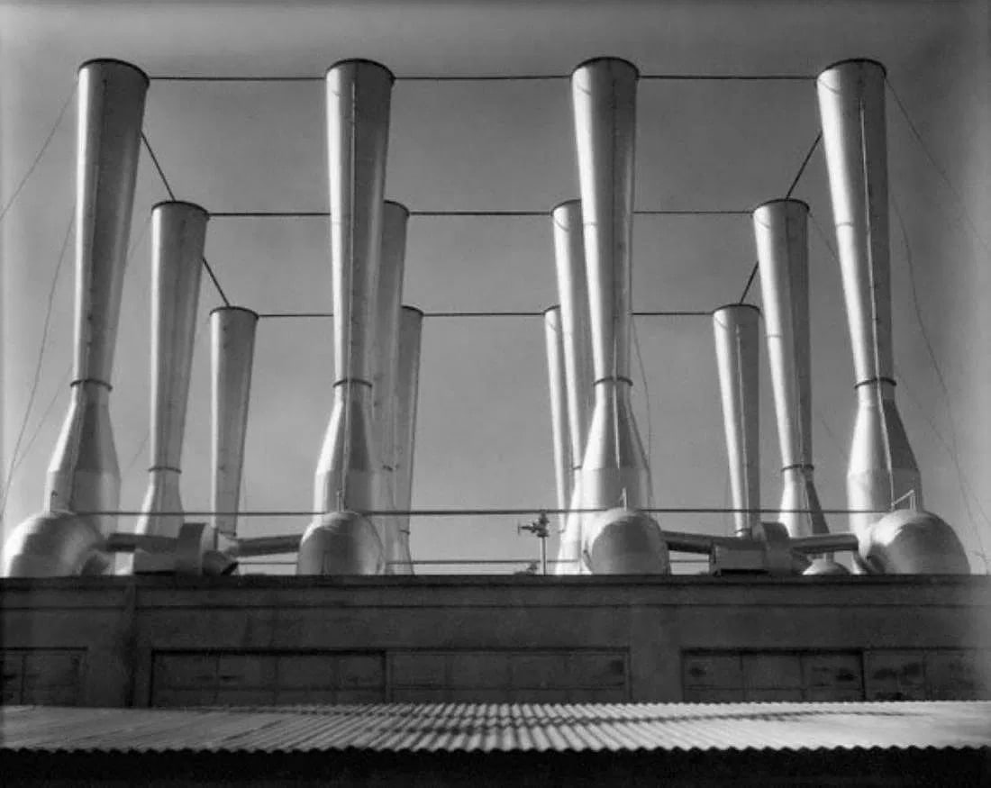 Imogen Cunningham (American, 1883-1976) Print (1 of 1)