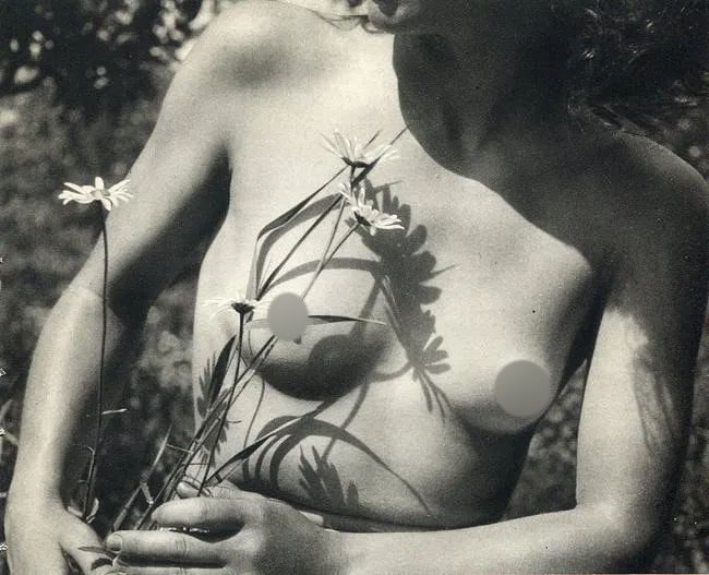 Vaclav Jiru (Czech, 1910-1980) Print: Vaclav Jiru (Czech, 1910-1980) Print. Nude with Flower. Printed in 1949. 7.50 x 6.50 inches. Not hand-signed unless otherwise stated. Photomechanical Print. Lots that contain nudity have been