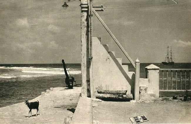 Lionel Wendt (Sri Lanka, 1900-1944) Print (1 of 1)