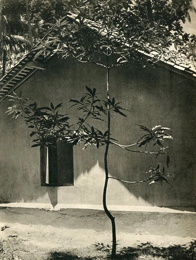 Lionel Wendt (Sri Lanka, 1900-1944) Print (1 of 1)