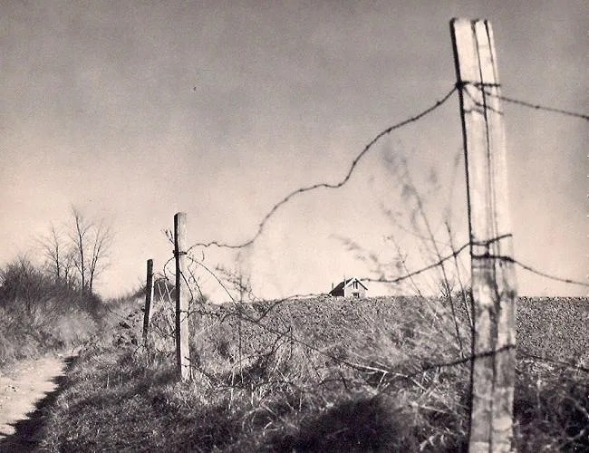 Boisgontier Print: Boisgontier Print. Barbed Wire Fence. Printed in 1932. 8.50 x 6.00 inches. Not hand-signed unless otherwise stated. Photomechanical Print. Lots that contain nudity have been partially obscured in the