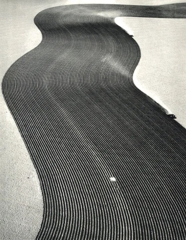 Margaret Bourke-White (American, 1904-1971) Print (1 of 1)