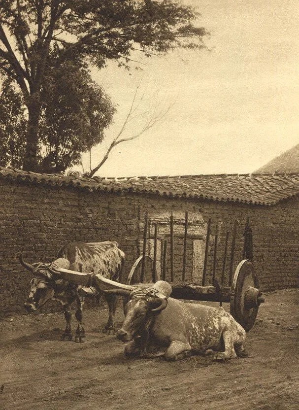 Hugo Brehme (German, 1882-1954) Print (1 of 1)