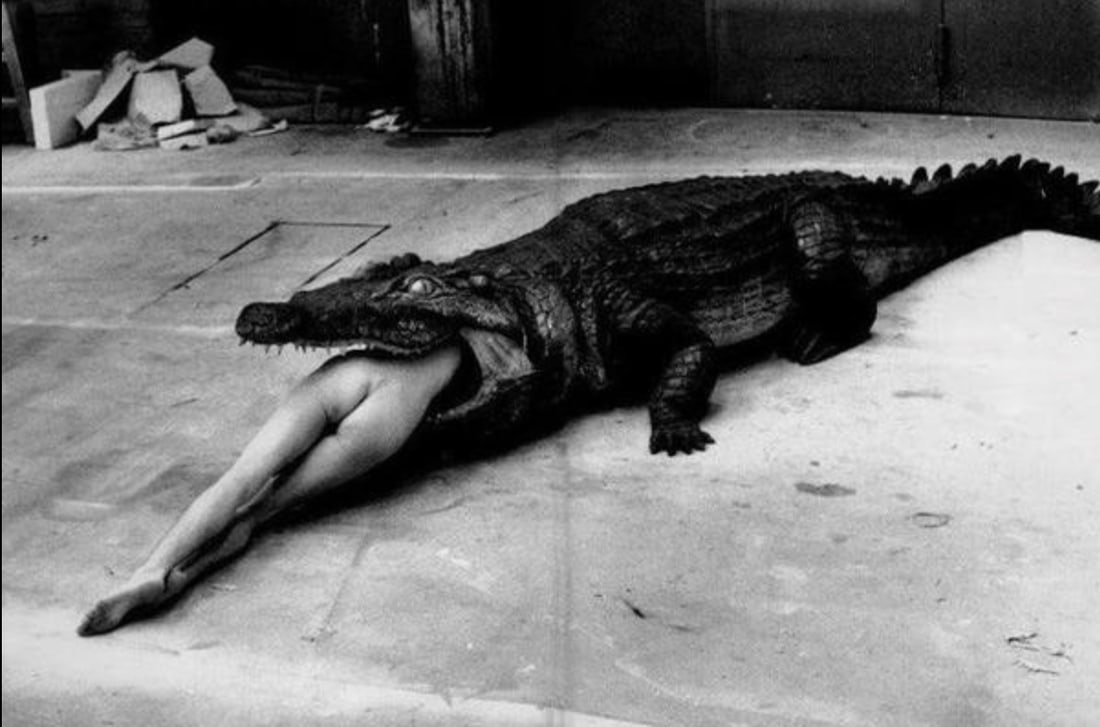 Helmut Newton (German-Australian, 1920-2004) Silver Gelatin: Helmut Newton (German-Australian, 1920-2004) Silver Gelatin. Crocodile Eating Ballerina from the Pina Bausch Ballet, "1983". 18.50 x 22.00 inches. Photomechanical Print. Lots that contain nudity have 