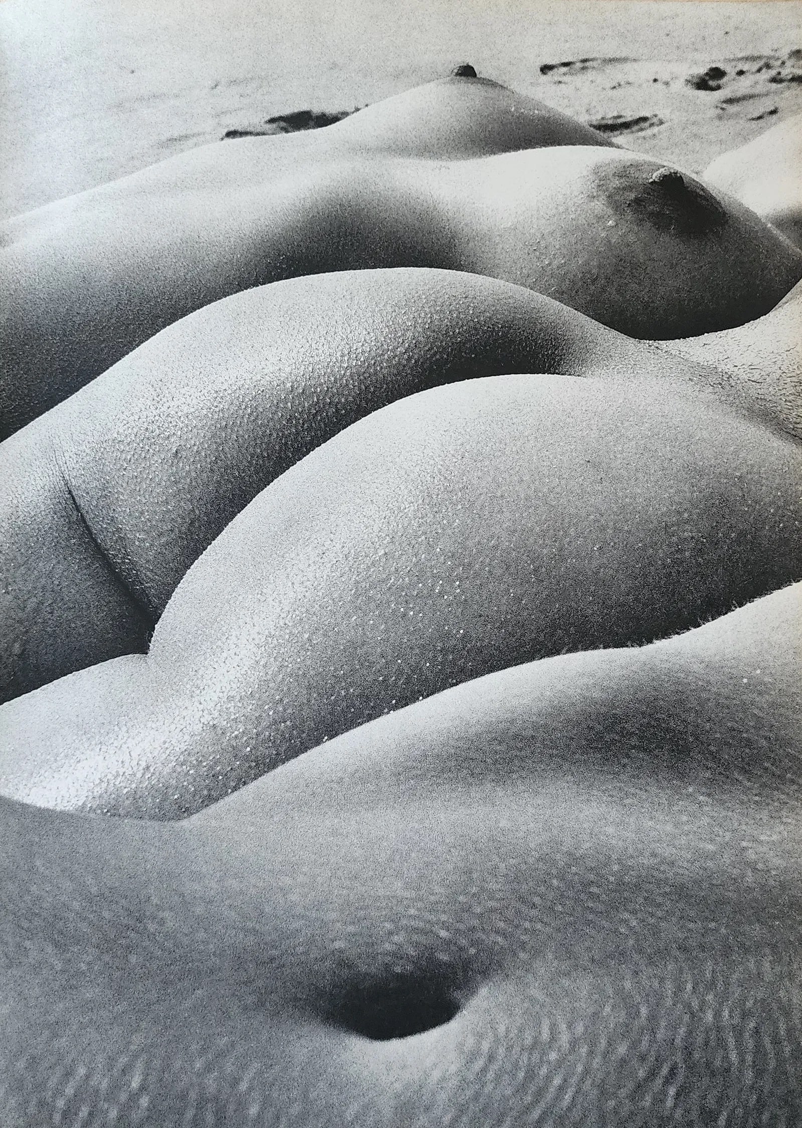 Lucien Clergue (French, 1934-2014) Print: Lucien Clergue (French, 1934-2014) Print. The Beginning, "1973". Printed in 1973, France. 13.00 x 9.00 inches. Photogravure/Heliogravure. Not hand-signed unless otherwise stated. Photomechanical
