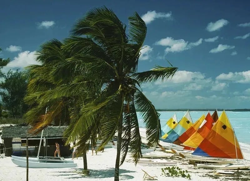 Slim Aarons (American, 1916-2006) Treasure Cay Wood Print (1 of 1)