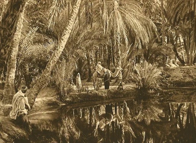 Lehnert & Landrock (German-Tunisian, active 1904–1940s) Print: Lehnert & Landrock (German-Tunisian, active 1904–1940s) Print. In the Nefta Oasis. Printed in 1924. 8.25 x 6.00 inches. Not hand-signed unless otherwise stated. Photomechanical Print. Lots that