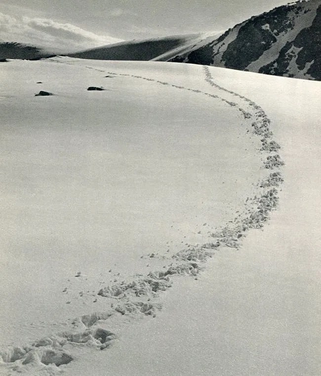 Karel Svidrnoch Print: Karel Svidrnoch Print. Buck Tracks in the Tatra Mts.. Printed in 1937. 6.00 x 8.00 inches. Not hand-signed unless otherwise stated. Photomechanical Print. Lots that contain nudity have been partially