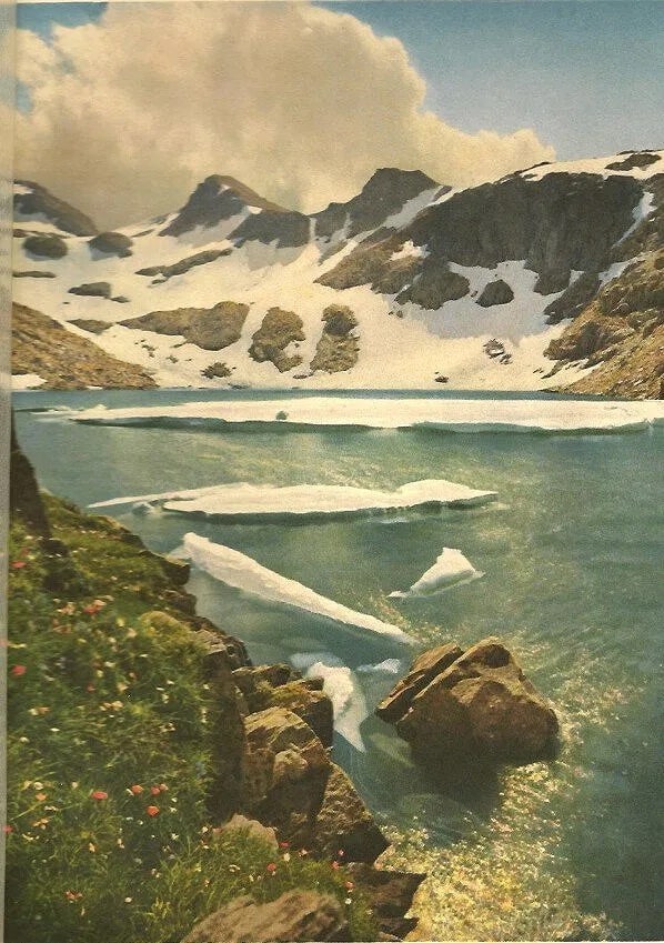 Jean Gaberell (Swiss, 1887-1949) Print (1 of 1)