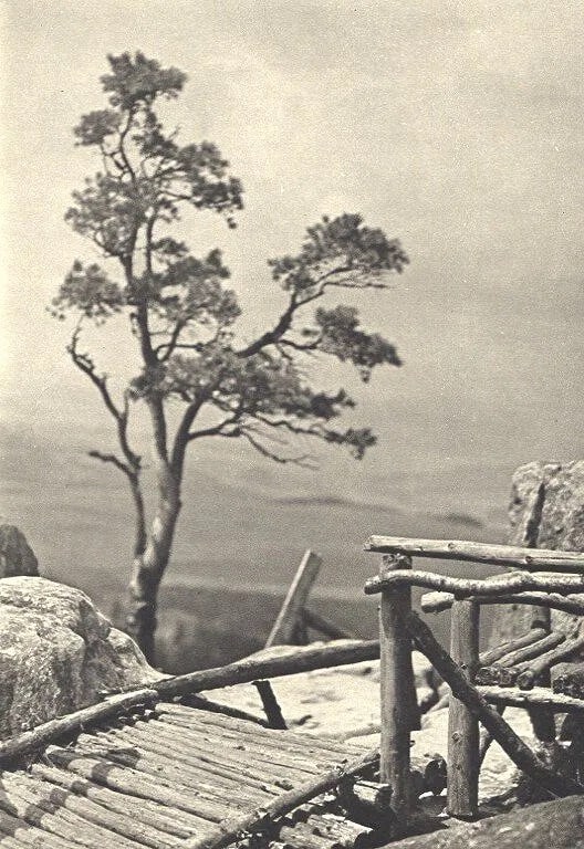 Kabrt, Josef (Czech, 1920-1989) Print: Kabrt, Josef (Czech, 1920-1989) Print. Lone Tree. Printed in 1931. 5.25 x 7.50 inches. Not hand-signed unless otherwise stated. Photomechanical Print. Lots that contain nudity have been partially obsc