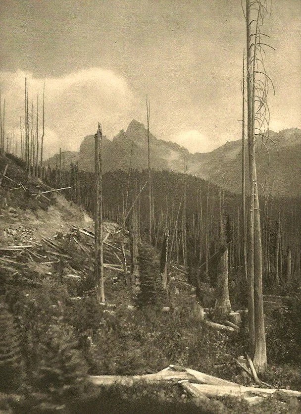E.O. Hoppé (British, 1878-1972) Print (1 of 1)
