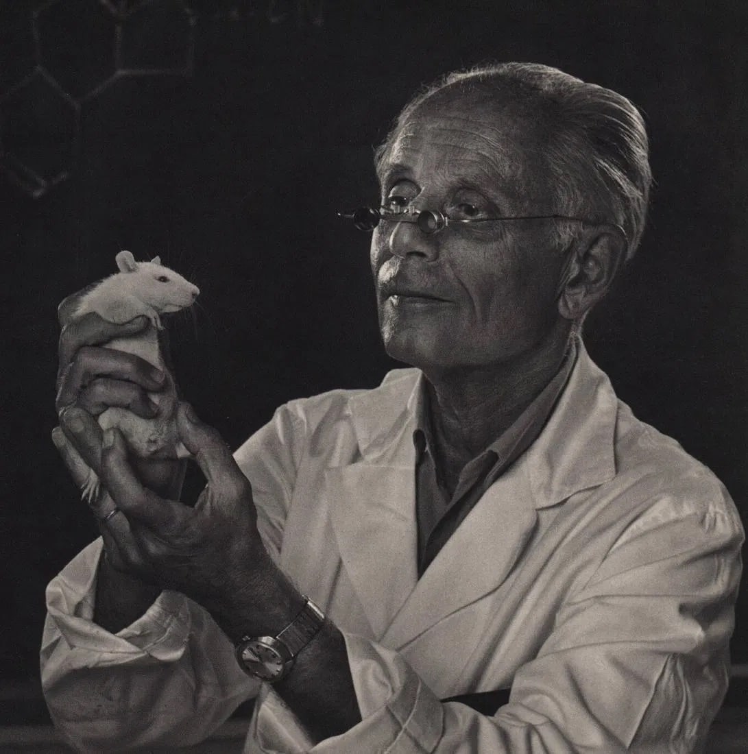 Yousuf Karsh (Armenian-Canadian, 1908-2002) Print (1 of 1)