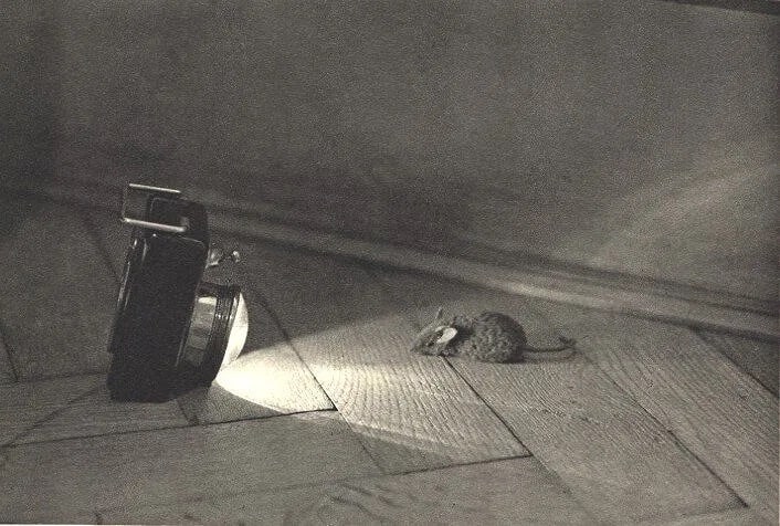Kossler, Milos Print: Kossler, Milos Print. Mouse. Printed in 1931. 7.00 x 4.75 inches. Not hand-signed unless otherwise stated. Photomechanical Print. Lots that contain nudity have been partially obscured in the listing;