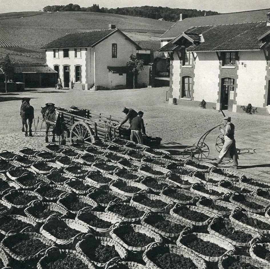 Roger Schall (French, 1904-1995) Print: Roger Schall (French, 1904-1995) Print. Epernay Court Presses. Printed in 1950. 6.5 x 6.5 inches. Not hand-signed unless otherwise stated. Photomechanical Print. Lots that contain nudity have been