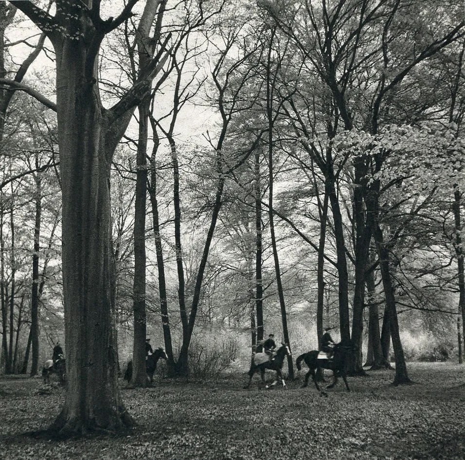 Roger Schall (French, 1904-1995) Print: Roger Schall (French, 1904-1995) Print. Forest in Chantilly. Printed in 1950. 6.5 x 6.5 inches Not hand-signed unless otherwise stated. Photomechanical Print. Lots that contain nudity have been