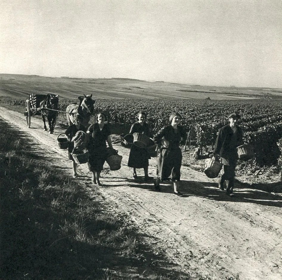 Roger Schall (French, 1904-1995) Print: Roger Schall (French, 1904-1995) Print. The Harvest of Epernay. Printed in 1950. 6.5 x 6.5 inches. Not hand-signed unless otherwise stated. Photomechanical Print. Lots that contain nudity have been