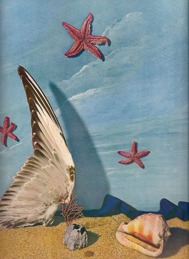 Pierre Adam Print: Pierre Adam Print. Composition. Printed in 1939. 9.00 x 11.00 inches. Not hand-signed unless otherwise stated. Photomechanical Print. Lots that contain nudity have been partially obscured in the