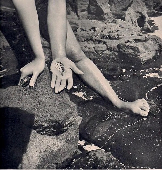 Louise Dahl-Wolfe (American, 1895-1989) Print: Louise Dahl-Wolfe (American, 1895-1989) Print. Poisson Mort. Printed in 1940. 9.00 x 9.00 inches. Not hand-signed unless otherwise stated. Photomechanical Print. Lots that contain nudity have been