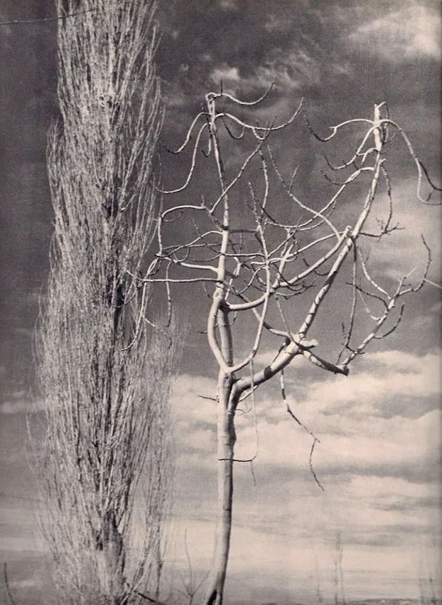 Sibylle De Kaskel Print: Sibylle De Kaskel Print. Paysage. Printed in 1937. 9.00 x 11.00 inches. Not hand-signed unless otherwise stated. Photomechanical Print. Lots that contain nudity have been partially obscured in the