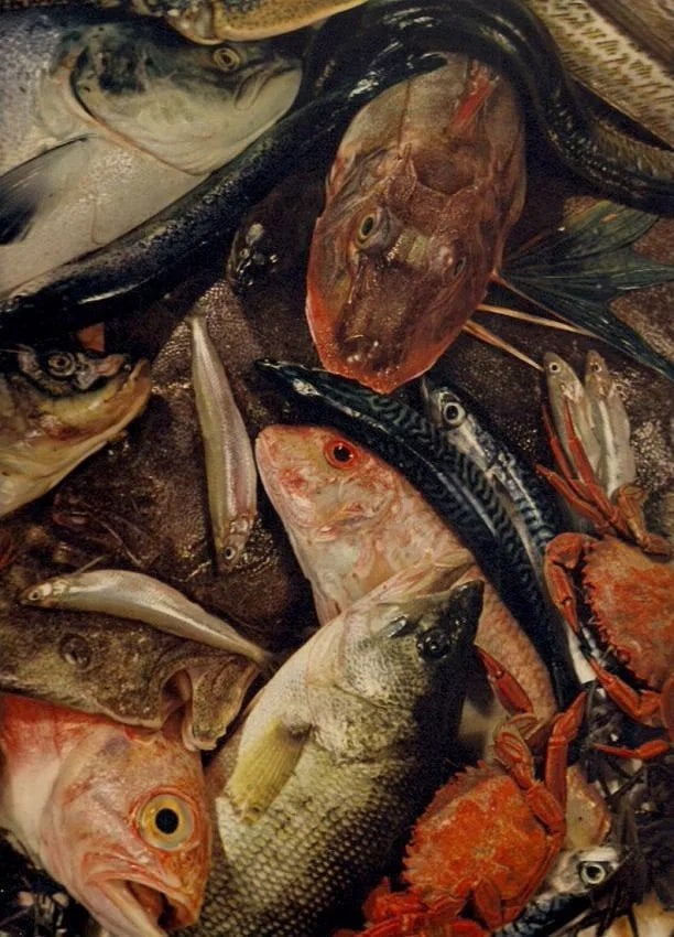 Gorsky Print: Gorsky Print. Nature Mort Aux Poissons. Printed in 1939. 9.00 x 11.00 inches. Not hand-signed unless otherwise stated. Photomechanical Print. Lots that contain nudity have been partially obscured in