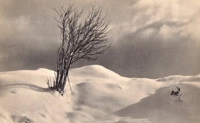 John Myren Print: John Myren Print. Tree in Snow. Printed in 1935. 9.00 x 5.50 inches. Not hand-signed unless otherwise stated. Photomechanical Print. Lots that contain nudity have been partially obscured in the