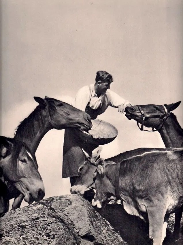 Grete Popper Print: Grete Popper Print. More Please. Printed in 1939. 9.00 x 11.00 inches. Not hand-signed unless otherwise stated. Photomechanical Print. Lots that contain nudity have been partially obscured in the