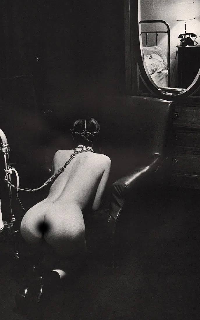 Helmut Newton (German-Australian, 1920-2004) Print: Helmut Newton (German-Australian, 1920-2004) Print. Hotel Room, Paris, France, "1976". Printed in 1979, USA. 9.00 x 14.00 inches. Not hand-signed unless otherwise stated. Photomechanical Print. Lots t