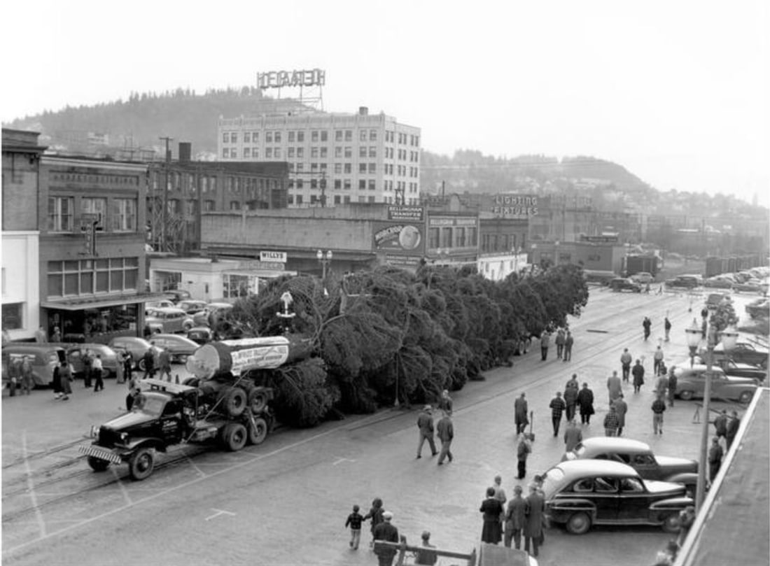 Jack Carver (American, 1924-2009) Print: Jack Carver (American, 1924-2009) Print. World's Tallest Christmas Tree, "1949". 23.50 x 19.50 inches. Not hand-signed unless otherwise stated. Photomechanical Print. Lots that contain nudity have