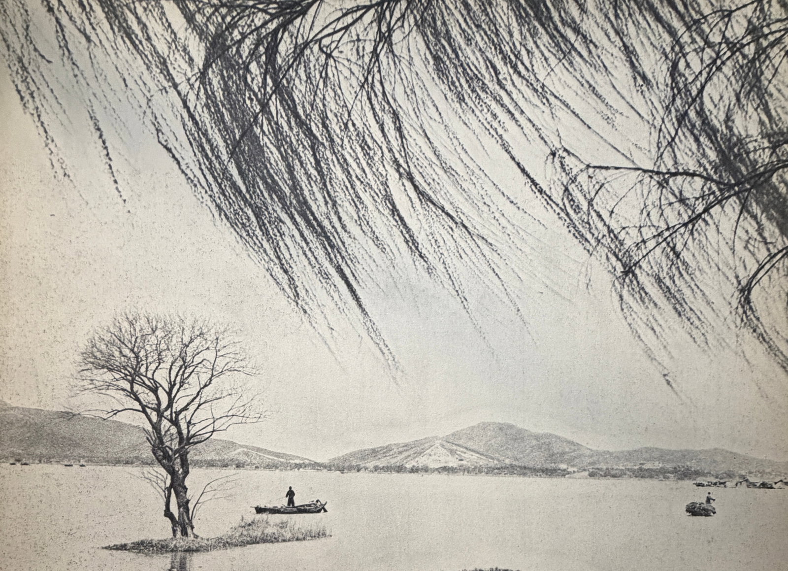 Liu Shu Chong (Chinese) Print (1 of 4)